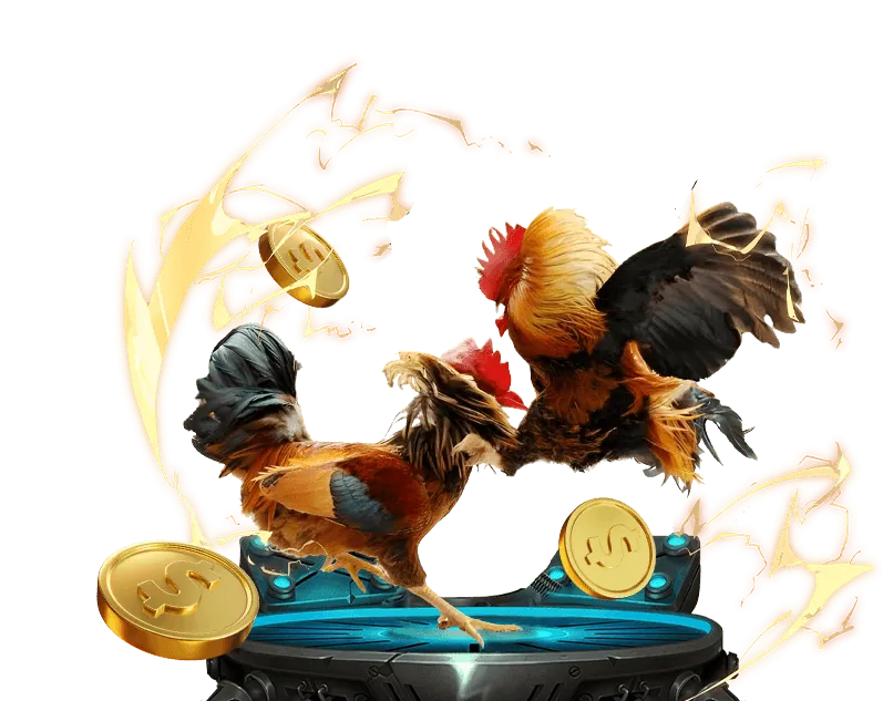 Hoàn trả hàng tuần cho casino và thể thao king88 casino